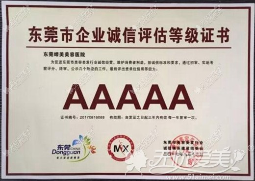 东莞市企业诚信评估等级证书
