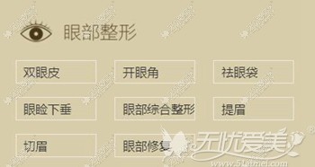 青岛伊美尔医院眼部整形项目