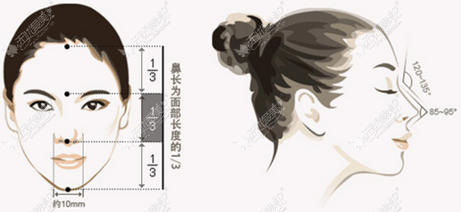 美鼻标准