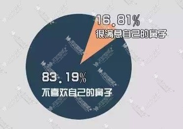 鼻子满意度调查表