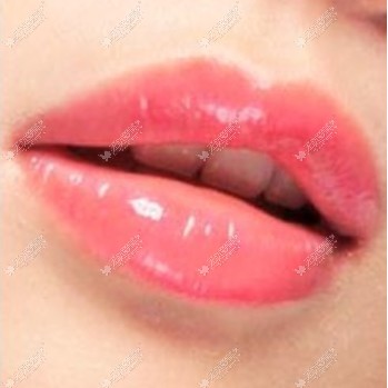 纹唇