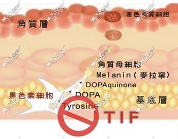 抑制新斑产生
