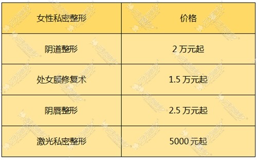 韩国好手艺私密整形价格表