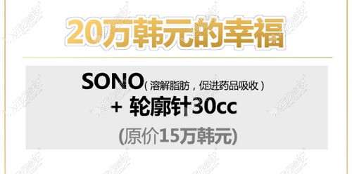 韩国首尔丽格面部塑型1200元 韩国首尔丽格面部塑型1200元