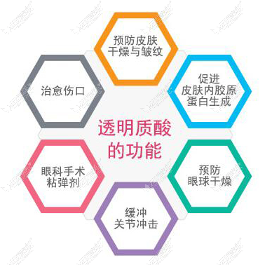 透明质酸的功能