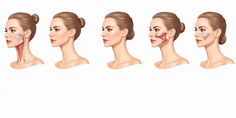 一、穆宝安院长面部小拉皮提升做得好