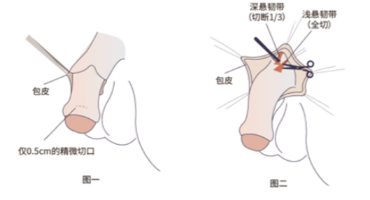 王文卫男性整形医生简介