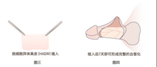 专门资质与执业背景