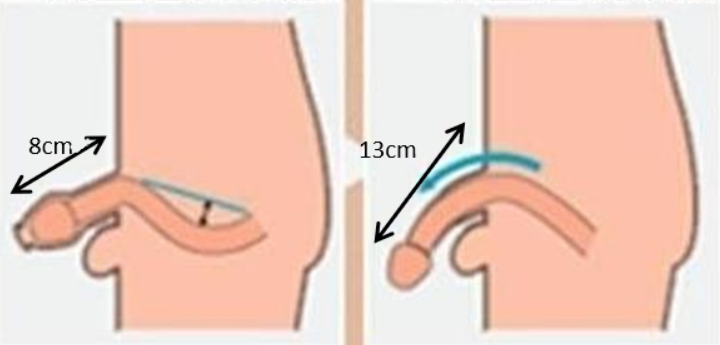 核心技术项目解析