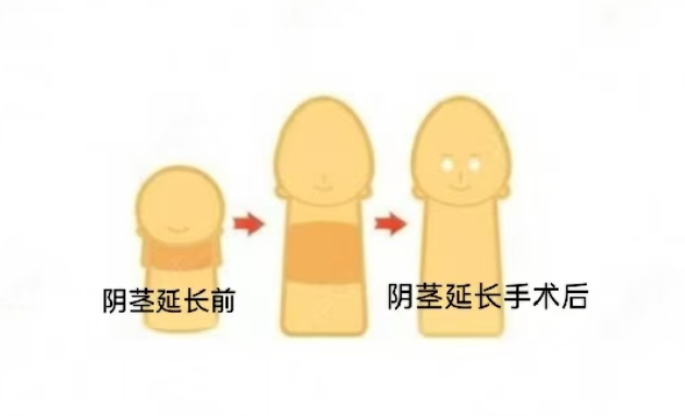 患者真实评价与服务特色