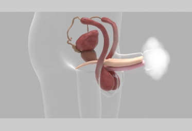 2025年国内私立医院当下收费范围及城市差异
