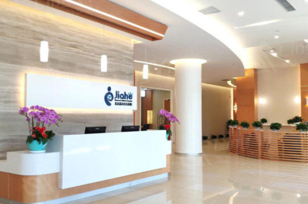 高性价比项目推荐