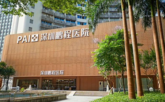 深圳鹏程技术优势与典型实例分析