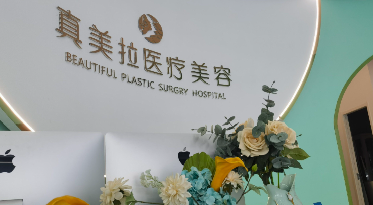 武汉汉街真美拉医疗美容怎么样？2025口碑4.8分项目多，电话约免费面诊别错过 