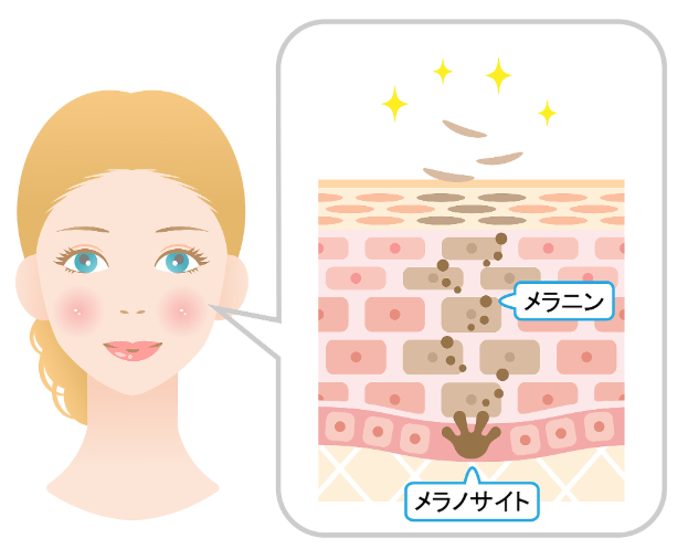 五、总结