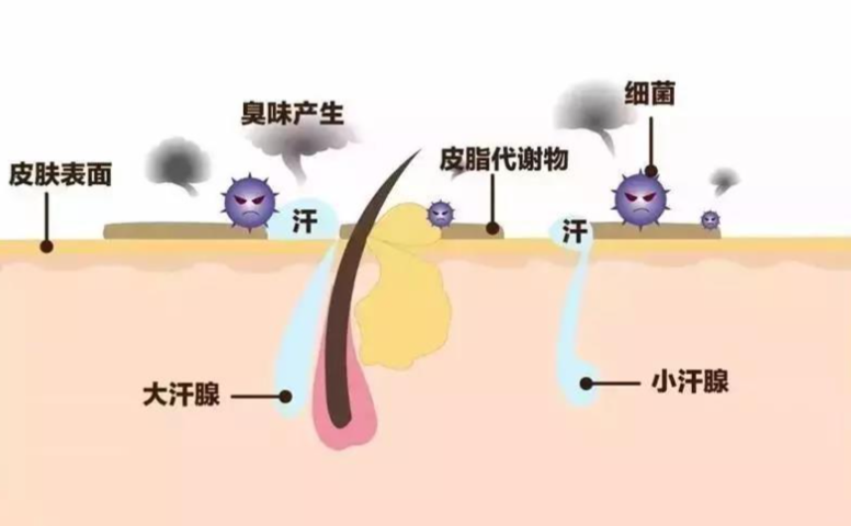 一、涪陵治疗狐臭的正规医院概览