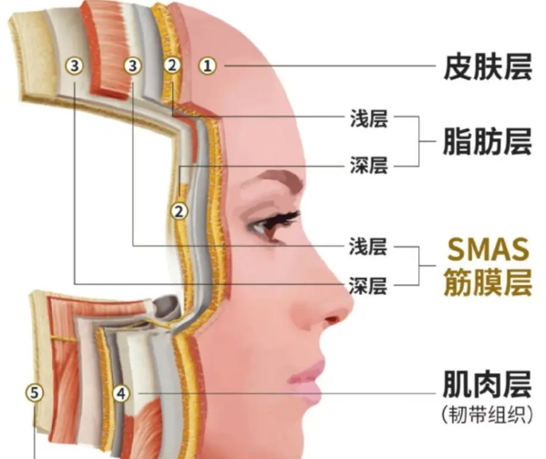 穆宝安的面部提升术靠谱吗