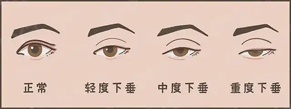 一、真的要等到明年?杜园园档期现状跟我摸到的底