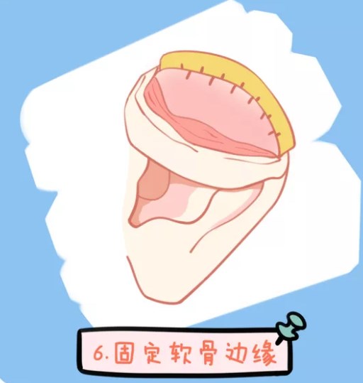 五、真实评价:看看大家在联合丽格找安院长的真实体验