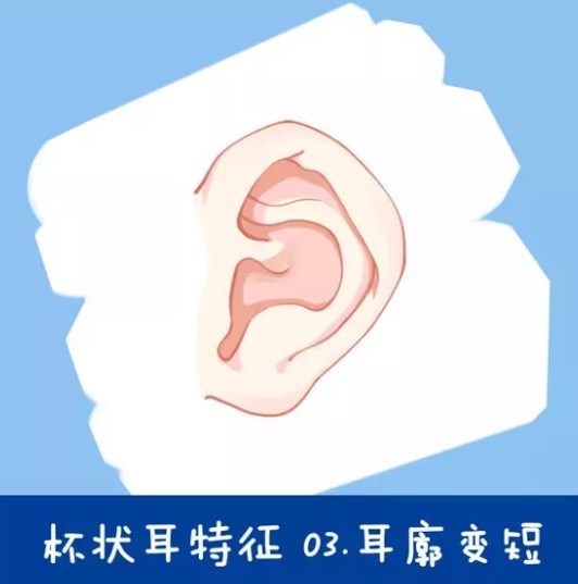 六、北京联合丽格安波院长常见关注点 QA 专栏