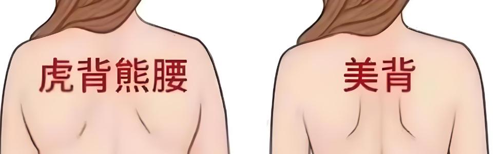 2. 人工辅助预约（更省心）