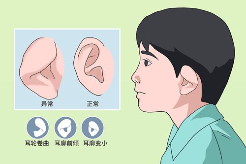 2. “能看到做出来的模型样子吗?”