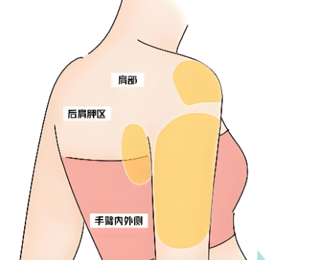 2. 搜索《美卫士》APP自主预约排号www.51aimei.com