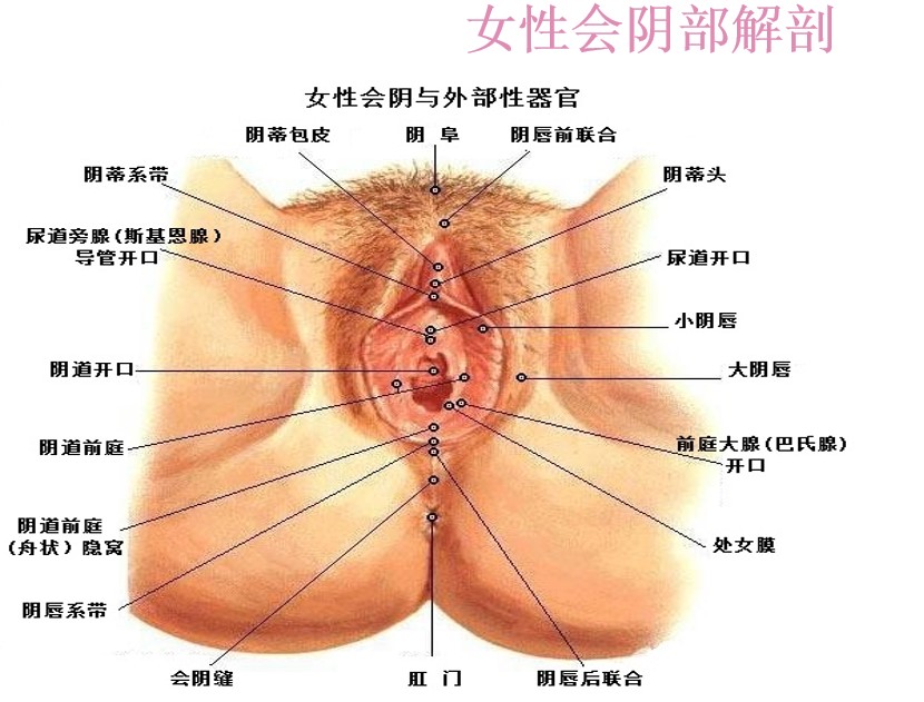 1. 私密整形属于严肃医疗，严禁选择非医疗机构