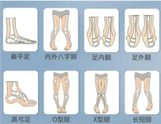 二、美卫士小程序搜卢九宁,到底靠不靠谱?亲测流程