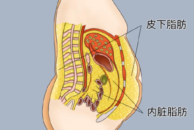 关于李医生坐诊和挂号的常见问题解答
