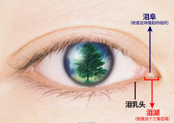 周兆平跟丁志哪个医生做的好?两人风格打法完全不同,我直接摊牌帮你俩选