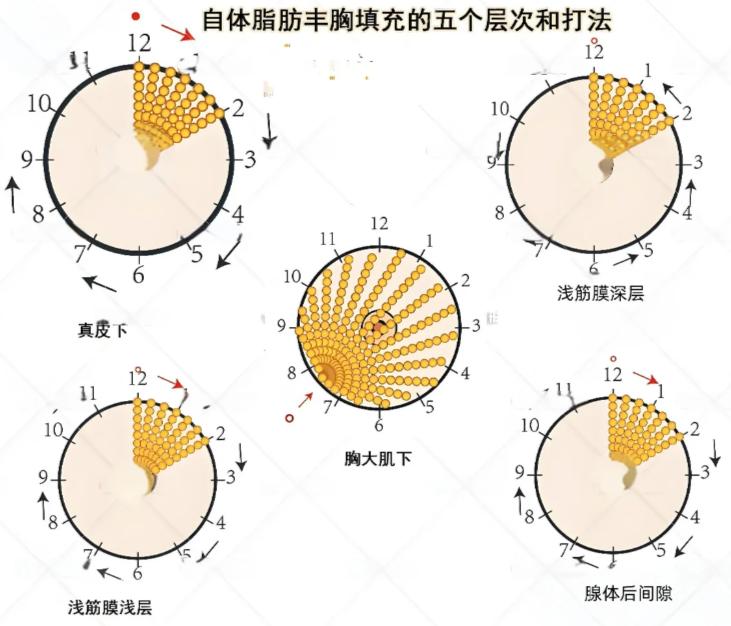 www.51aimei.com