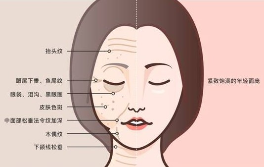 第1步：面诊