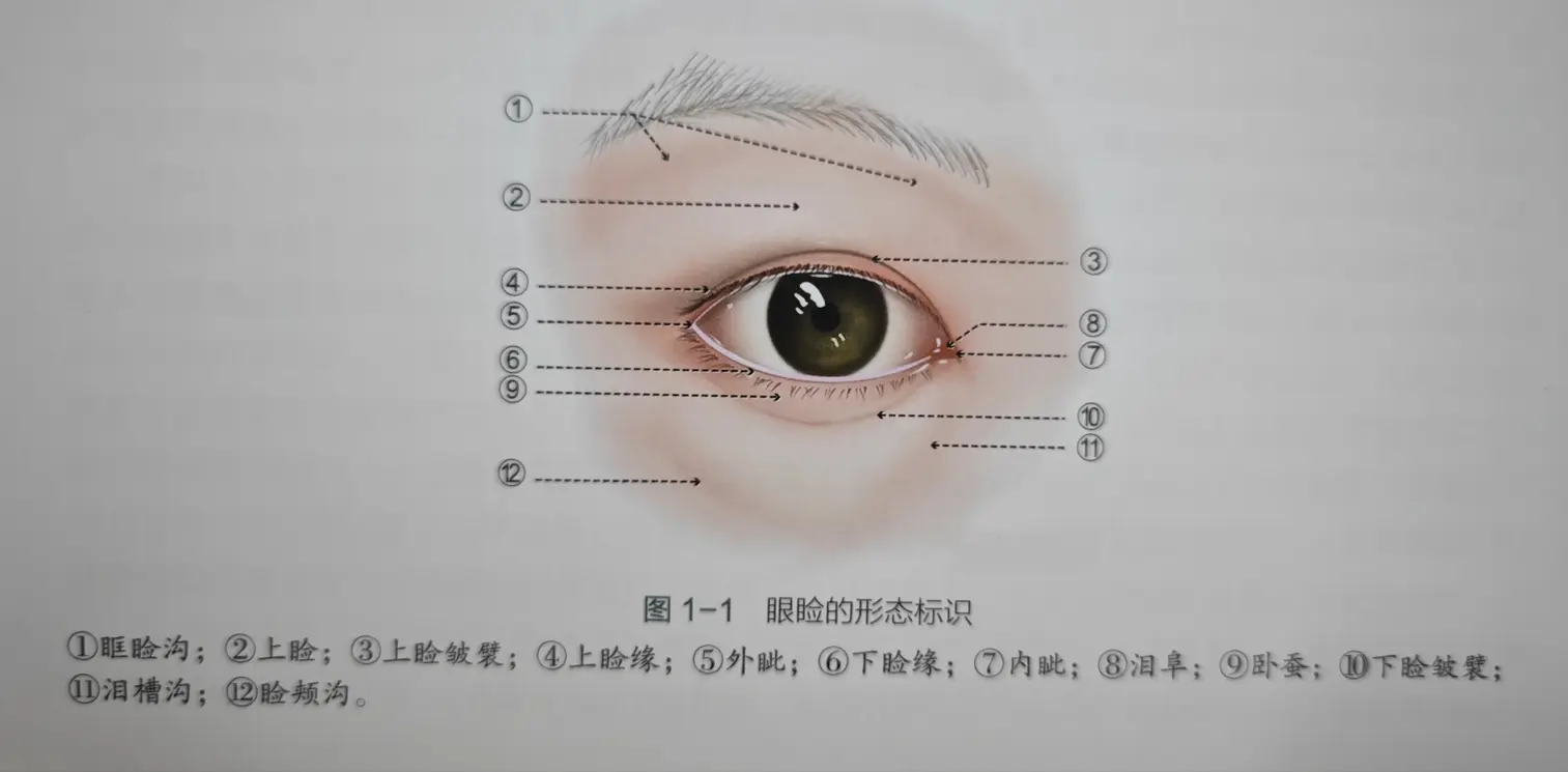 张诗若和杜园园，如何根据你的眼修复难题来选择？www.51aimei.com