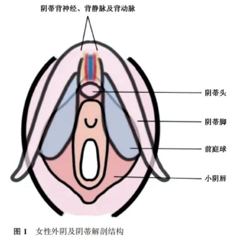 三、没选错的核心:除了自然,付丹凤医生的技术到底强在哪里?