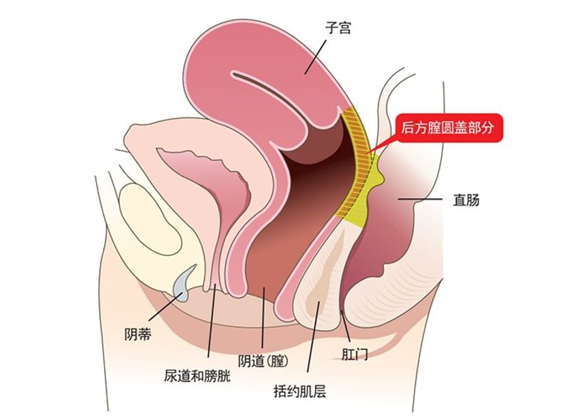 五、如何预约重庆军美刘艳医生面诊？流程与渠道详解