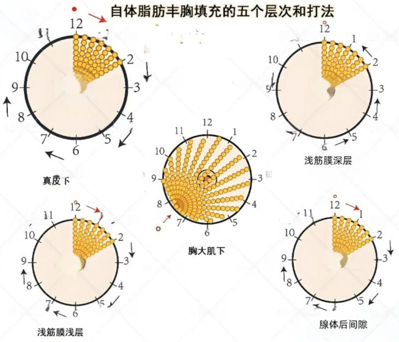 为什么去宁德铧媄找张文洪必须下载美卫士app预约？
