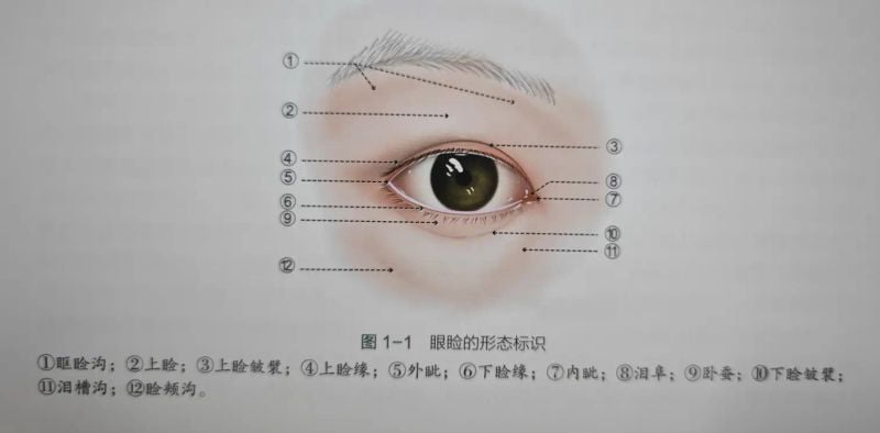 www.51aimei.com