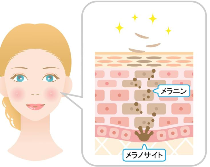 3. 验真问题