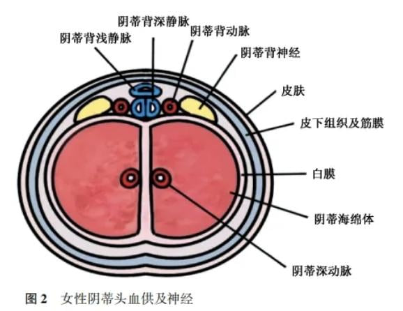 www.51aimei.com