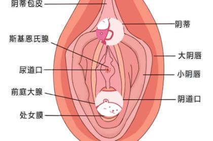 吉安市韩美医疗处女膜修复价格表公开:传统缝合3000元起,微创修复6000元起