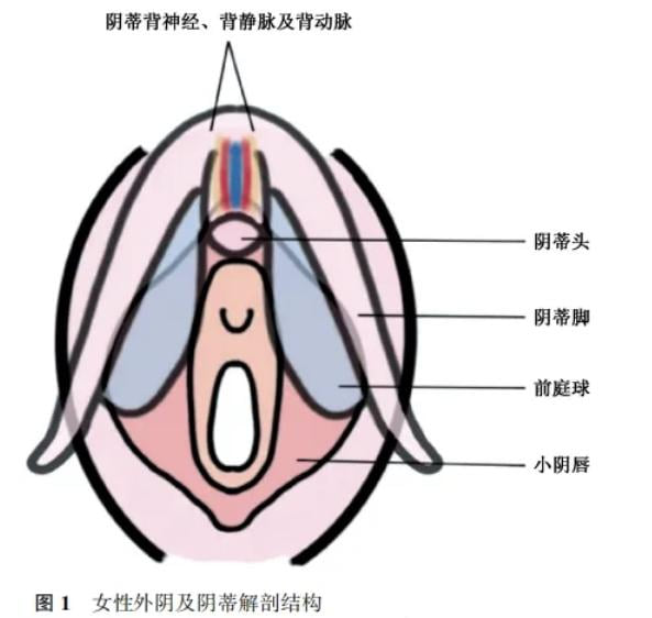 三、在南京妇儿堂做阴道紧缩术的真实实例参考