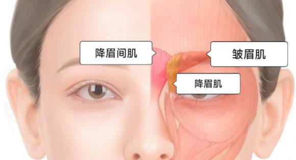 二、为什么传统打法容易僵硬?宁德如曼分层平铺的硬核技术差异