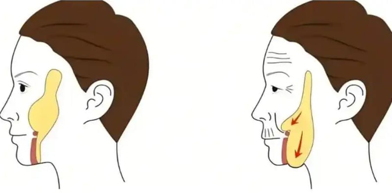 真诚建议:别纠结谁更好,先搞清楚自己是谁